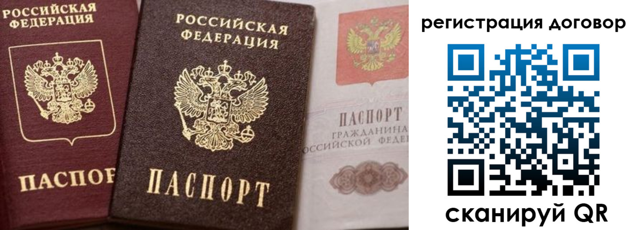 прописка 2025 в Коряжме