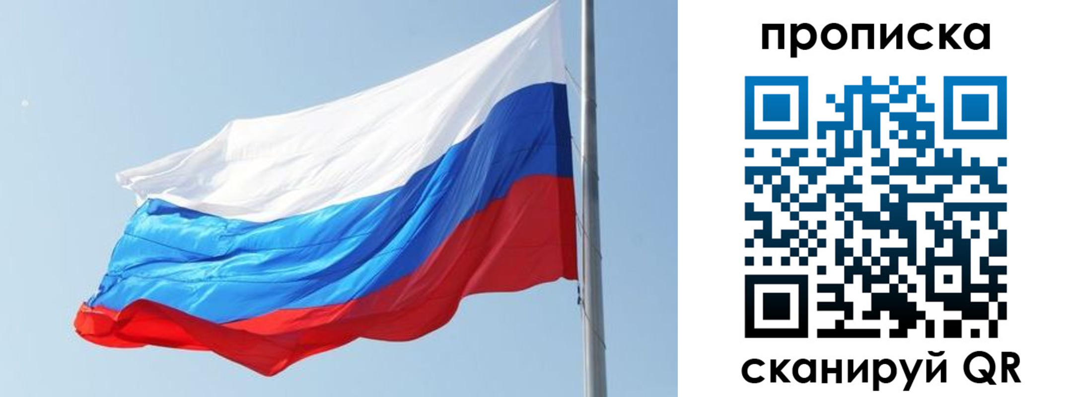 прописка для школы в Коряжме
